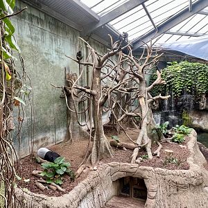 Malay Tapir, Grey Gibbon, and Francois Langur Exhibit
