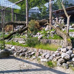 new Snow Leopard enclosure (in the works)