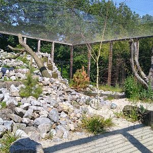 new Snow Leopard enclosure (in the works) 30/05/2023