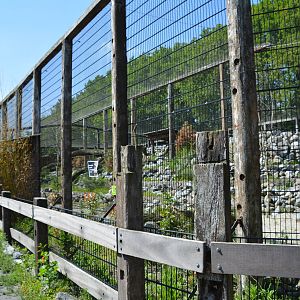new Snow Leopard enclosure (in the works) 30/05/2023