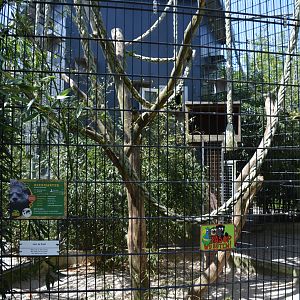 Binturong enclosure 30/05/2023