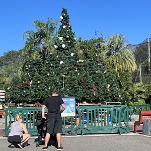 Kept forgetting the Holidays were approaching.