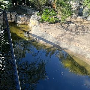 Gharial Exhibit