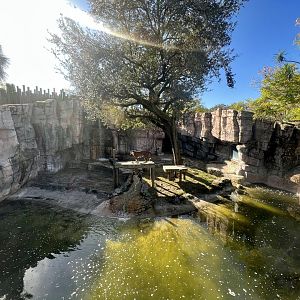 Malayan Tiger Exhibit