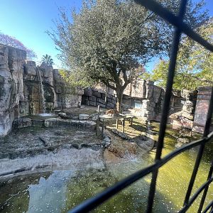 Malayan Tiger Exhibit