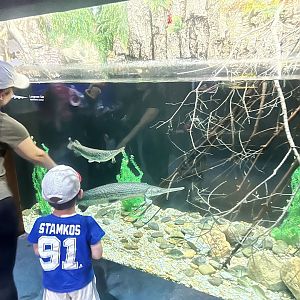 Viewing freshwater fish