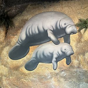 Zoo Art