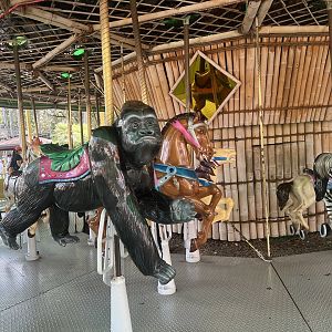 Zoo Carousel