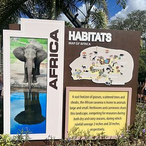 Africa Exhibits Complex