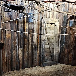 Straw Colored Fruit Bat exhibit with the lights on