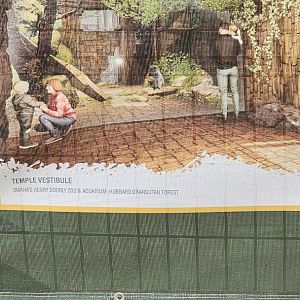 Silvery Langurs in the concept art