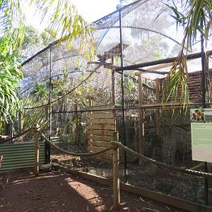 Capuchin Exhibit