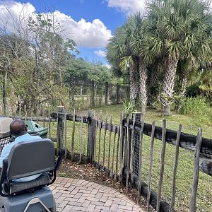 White Rhinoceros Exhibit