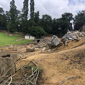 Barbary sheep enclosure