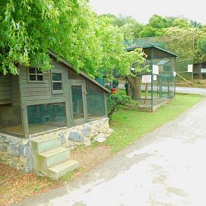 Chinchila and Beech Marten Cages