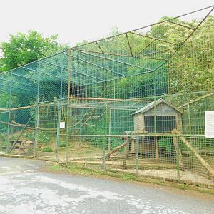 Raccoon Enclosure