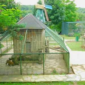 Coatimundi Enclosure Extention