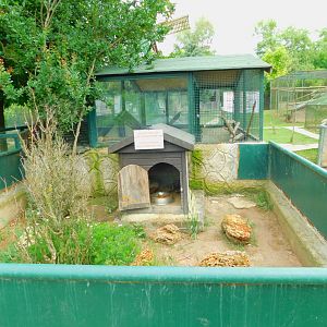 Skunk Enclosure