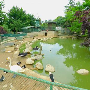 The Smaller Duck Pond
