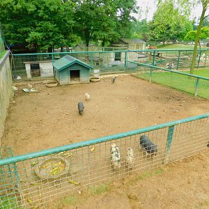 Piglet Pen