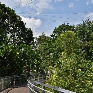 Nyungwe Forest Heart of Africa aviary