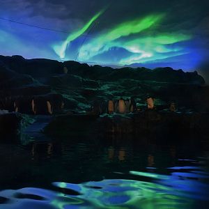 Simulated Aurora Australis at Penguin Cove
