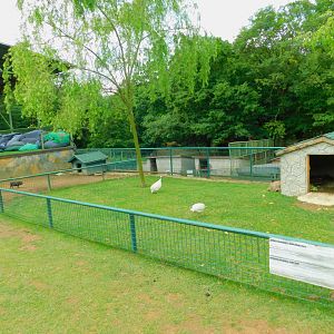 Sulcata Tortoise Enclosure
