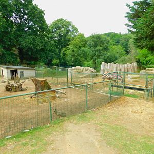 Mara Pen and the Neighboring Zebra and Co. Corral.