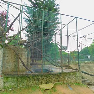 Rhesus Macaque Cage