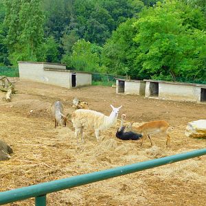 Inside the Zebra and Co. Corral
