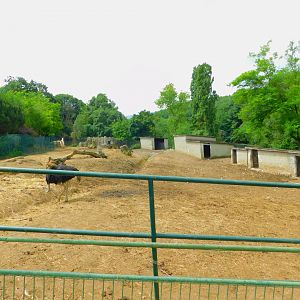 Inside the Zebra and Co. Corral