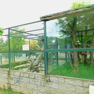 Eurasian Otter and Cotton-top Tamarin Enclosure