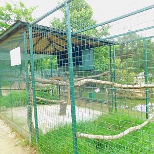 Eurasian Eagle Owl Enclosure