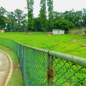 Bennet's Wallaby Enclosure