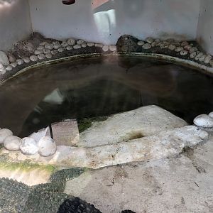 Siamese Crocodile Enclosure