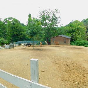 Alpaca Pen