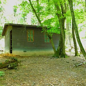 Barn Out in the Open