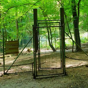 Wolf(dog?) Enclosure