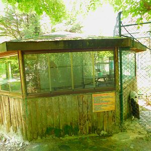 BW Ruffed Lemur Enclosure