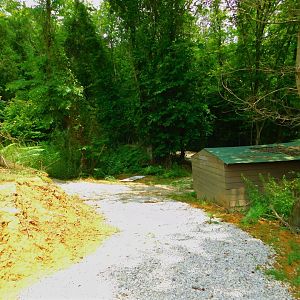 Fallow Deer Walkthrough Enclosure