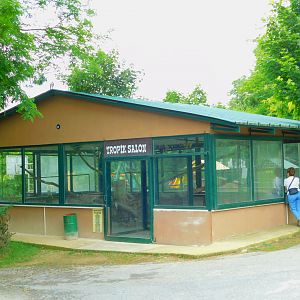 House With Birds In It