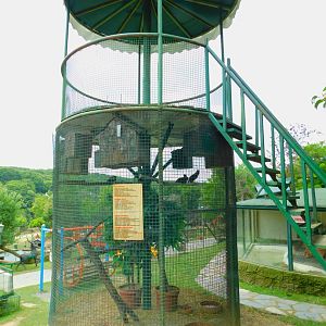 Watch Tower and Hill Myna cage