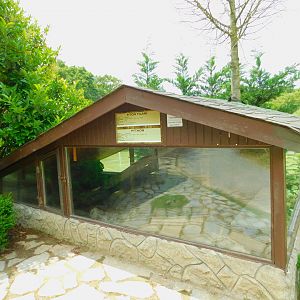 Burmese Python enclosure