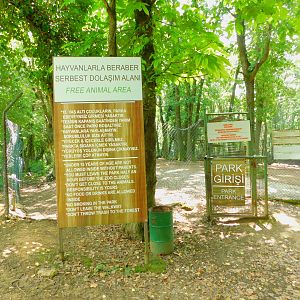 Entarence to Deer Walkthrough