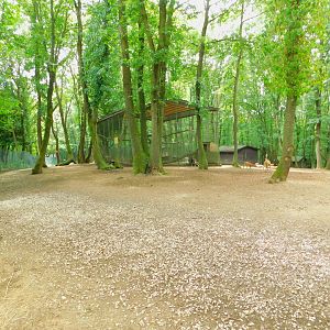 Inside the Deer Walkthrough