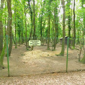 Rhea and Blackbuck Enclosure
