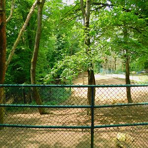 Goitered Gazelle Enclosure