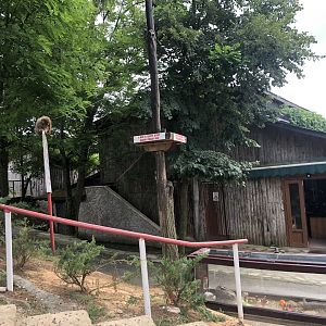 Tethered Monkey and Hamster Cage