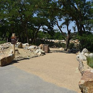 New Hartmann's Mountain Zebra Enclosure at Tierpark Berlin, 9th June 2023