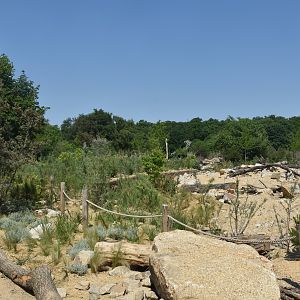New Savannah Paddock at Tierpark Berlin, 9th June 2023